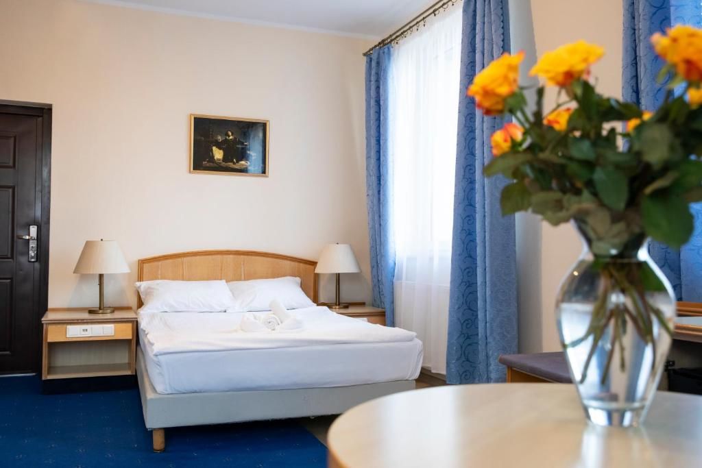 Отели типа «постель и завтрак» Hotelik Kopernik Лидзбарк-Варминьски-29